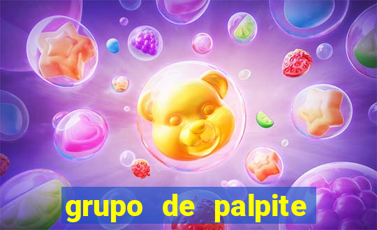 grupo de palpite de futebol telegram